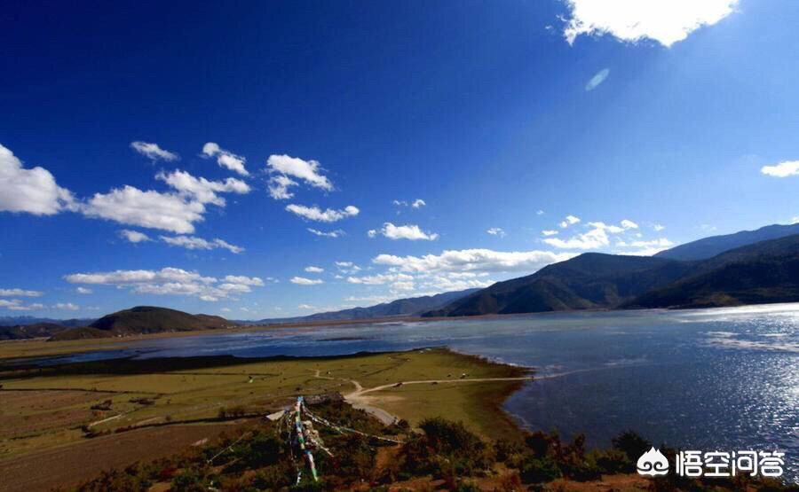 小程序和网站该先做哪个？80% 的企业都选错了顺序