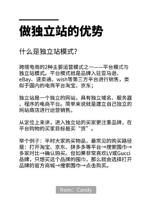 跨境电商独立站如何抗投诉？建站必知的知识产权规避技巧
