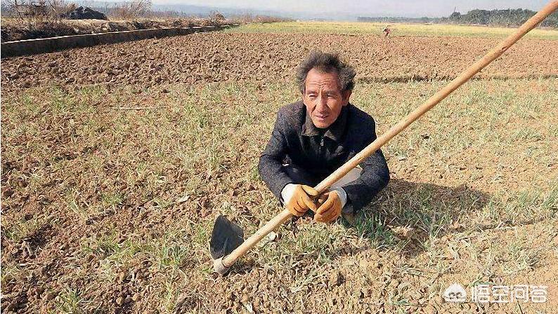 农产品电商网站设计：土味包装 vs 国潮风，哪种更卖货？